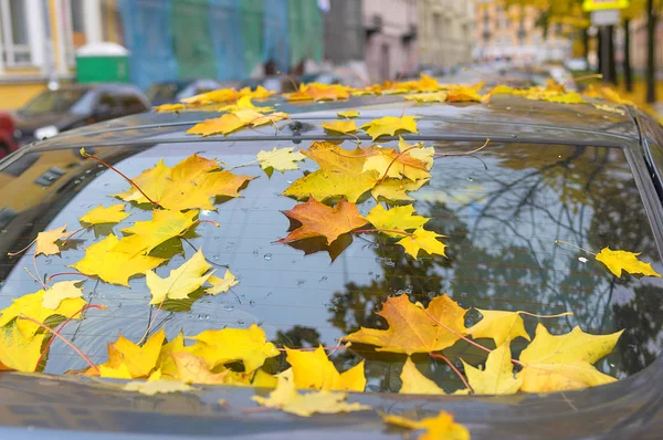 Kapalı araba sonbahar yaprakları