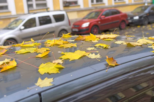 Kapalı araba sonbahar yaprakları