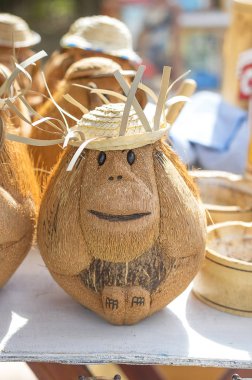 Hindistan cevizi fındık Küba Hatıra