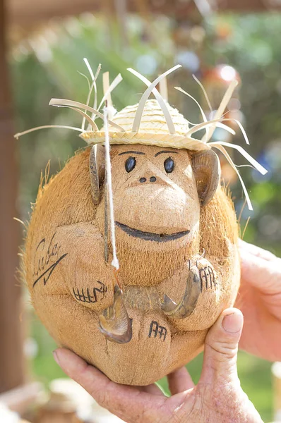 Hindistan cevizi bir hatıra holding eller