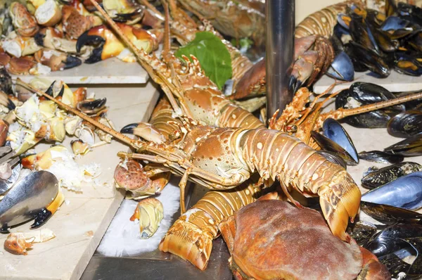 Large lobster on the background of mussels — Stock Photo, Image