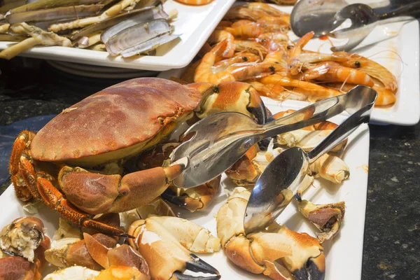 Cooked sea crab on a tray with other seafood — Stock Photo, Image