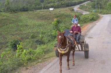 Yolun sırtında ile sepeti