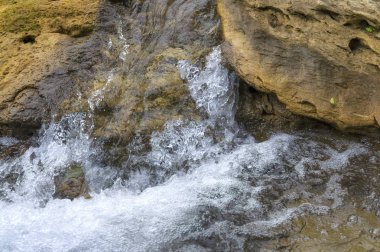 Ormanda su hızlı bir akış akış