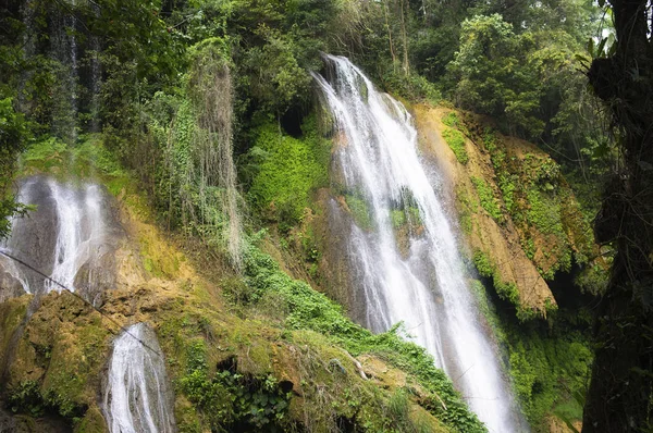 Waterfall water jets fall from a height between rocks and vegeta — Stock Photo, Image