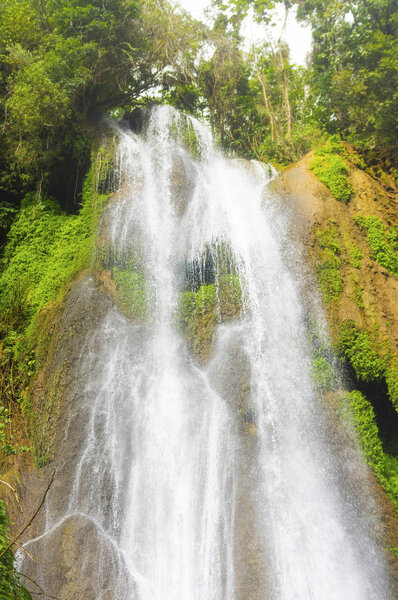 Waterfall water jets fall from a height between rocks and vegeta