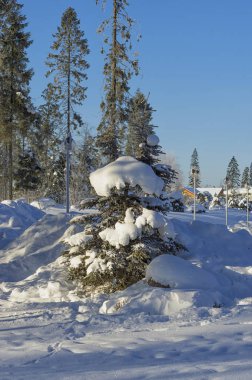 Kar ve buz, soğuk kış manzara tüm kaplıdır 