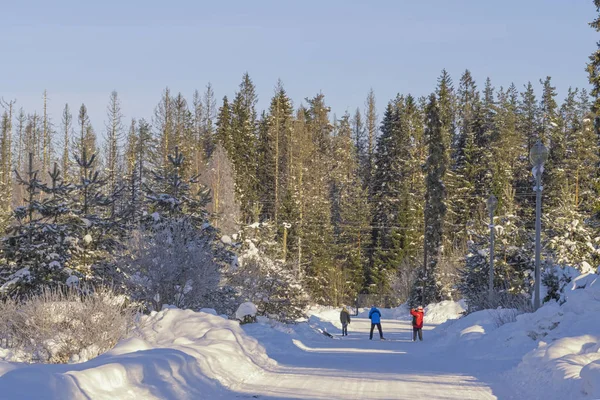 Camino nevado de invierno con gente caminando en el bosque entre altos — Foto de Stock