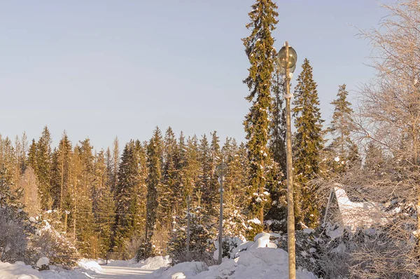 El paisaje invernal está cubierto de nieve y hielo, el frío — Foto de Stock