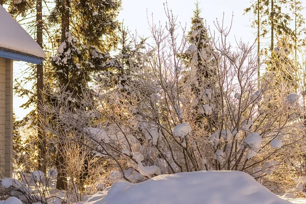 El paisaje invernal está cubierto de nieve y hielo, el frío — Foto de Stock