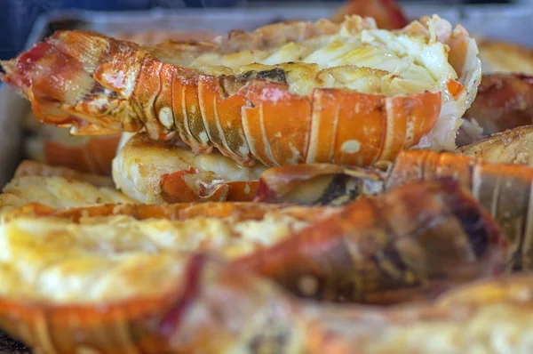 Fried homara zbliżenie gotowane na obiad — Zdjęcie stockowe