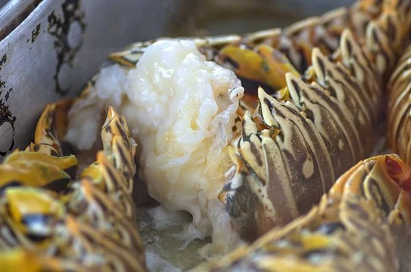 Homard rôti sur plateau métallique Armure rouge et viande blanche close-up — Photo