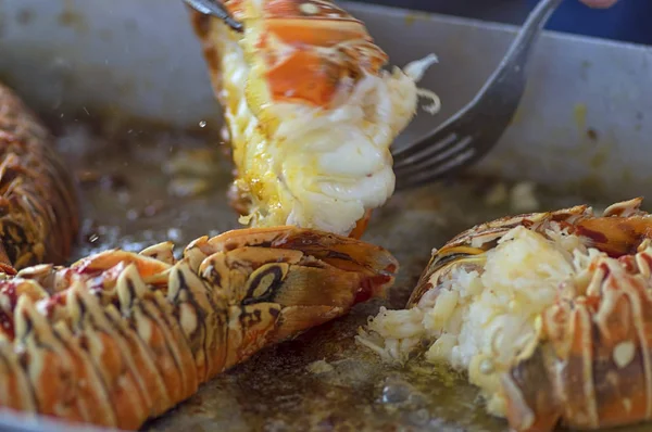 Lobsters en una sartén caliente en un primer plano de aceite hirviendo — Foto de Stock