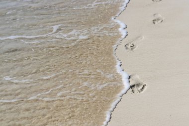 Köpüklü dalga deniz kumlu kıyıya çalışır ve footp akıp
