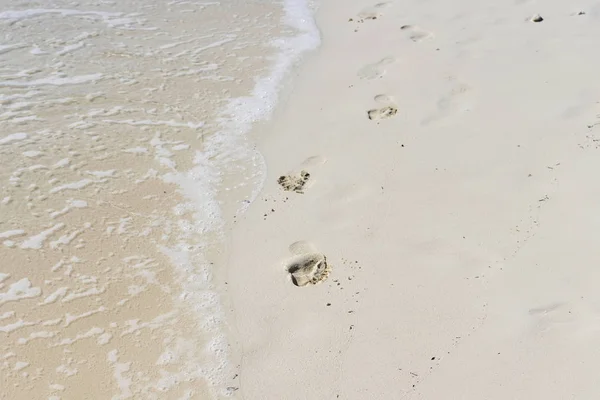 Ola de mar con espuma corre a la orilla arenosa y se lleva los pies — Foto de Stock