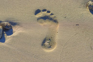 çıplak ayak kum izleme