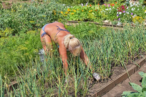 Niña malezas camas en el jardín, verano día soleado Fotos De Stock