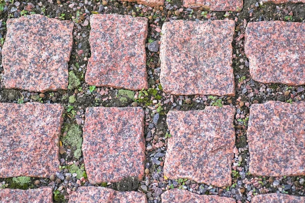 Achtergrond van granieten vierkanten met groen mos — Stockfoto