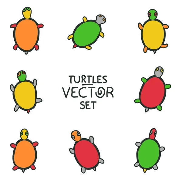 Conjunto de tortugas de dibujos animados - colección de animales vector — Vector de stock