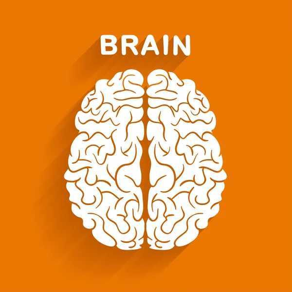 Flachen Stil Vektor Gehirn auf orangefarbenem Hintergrund. — Stockvektor
