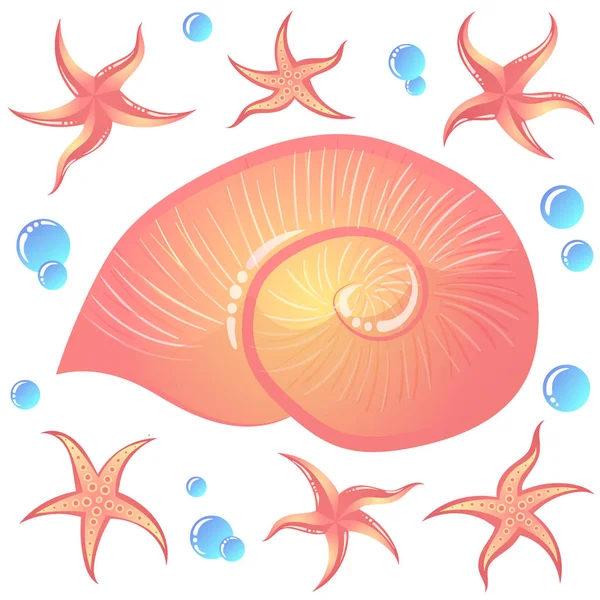 Coquillage et étoile de mer ensemble. Collecte vectorielle marine . — Image vectorielle