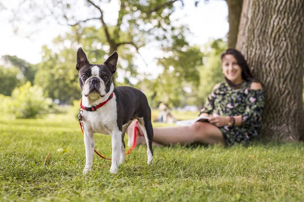 Mujer con terrier perro fuera en el parque — Foto de Stock