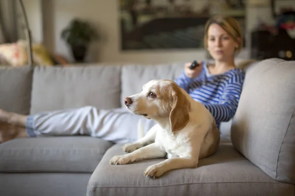 Frau, die auf der Couch sitzt, nimmt sich Zeit mit ihrem Hund — Stockfoto