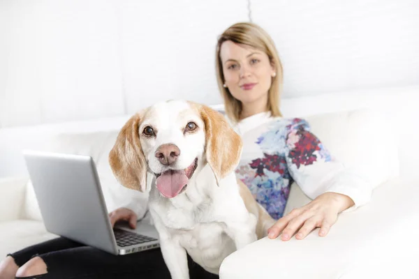 Mooie jonge blonde vrouw met haar hond thuis — Stockfoto