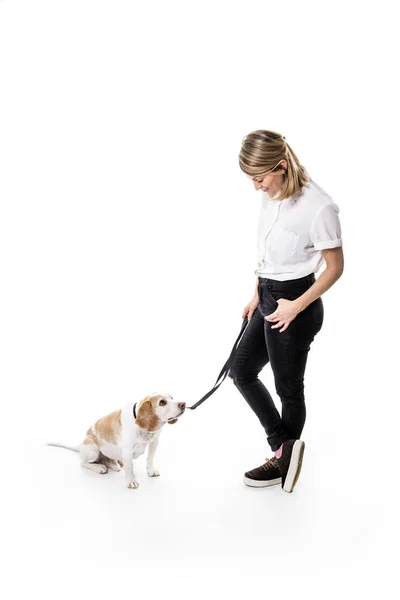 Pes s ženou, které jsou homologní Studio - izolované na bílém pozadí — Stock fotografie