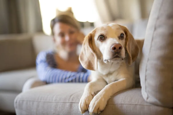 Frau, die auf der Couch sitzt, nimmt sich Zeit mit ihrem Hund — Stockfoto