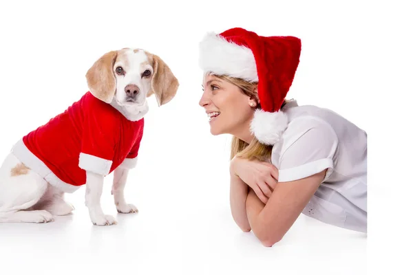 Beagle puppy and woman christmas on white background — Stock Photo, Image