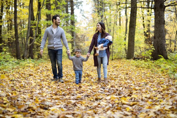 Famille de quatre personnes jouissant de feuilles dorées dans le parc d'automne — Photo
