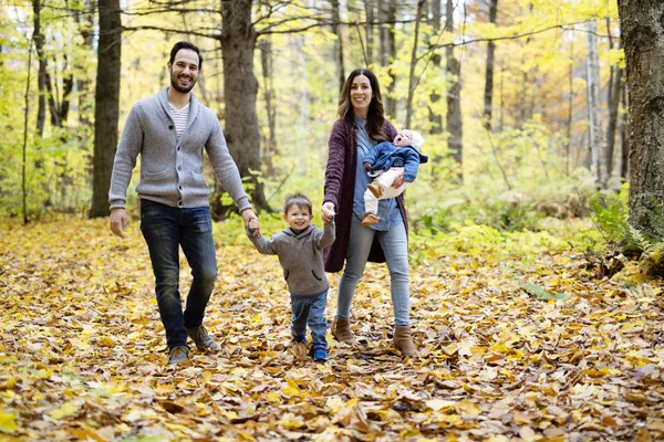 Сім'я з чотирьох, що насолоджуються золотим листям в осінньому парку — стокове фото