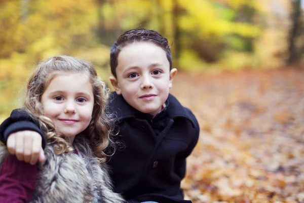 Kinderen spelen in de prachtige herfst park op koude zonnige herfstdag. — Stockfoto