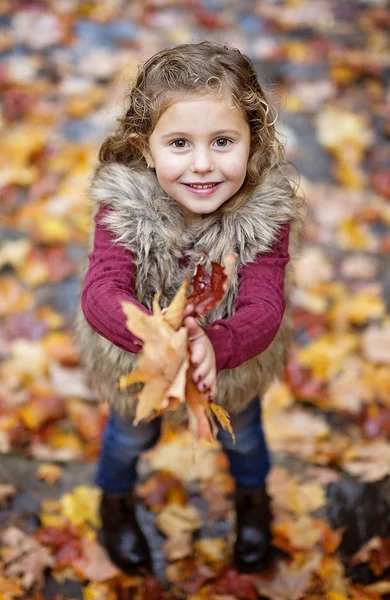 Bedårande liten flicka i en höst skog — Stockfoto