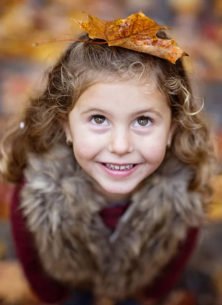 Adorable petite fille dans une forêt d'automne — Photo