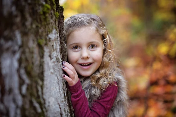 Adorable petite fille dans une forêt d'automne — Photo