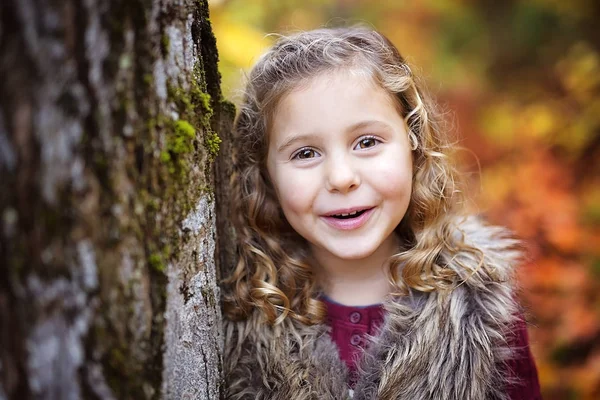 Bedårande liten flicka i en höst skog — Stockfoto