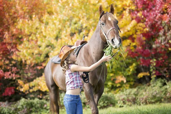 秋の季節に若い少女と馬 — ストック写真