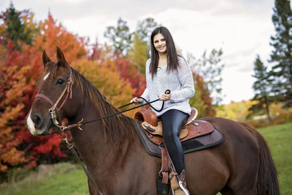 Schönes Mädchen mit schwarzem Haar Pferd — Stockfoto