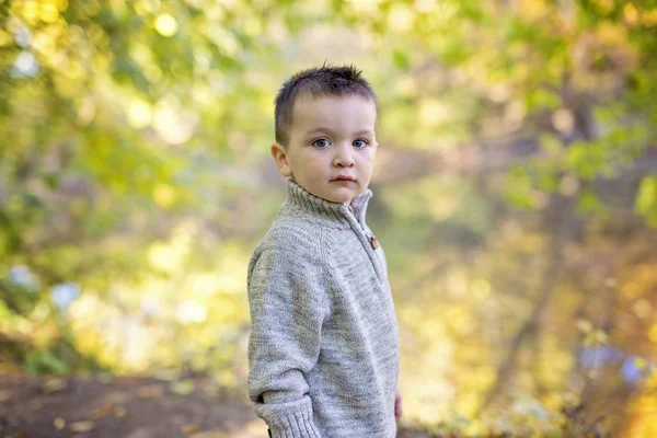 Hermoso niño en otoño Parque —  Fotos de Stock