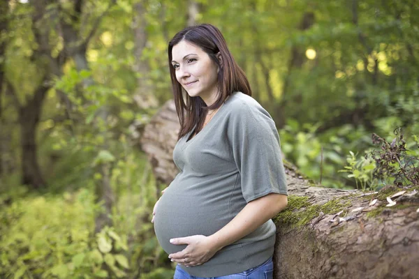 Vackra gravid kvinna avkopplande i en park Stockbild