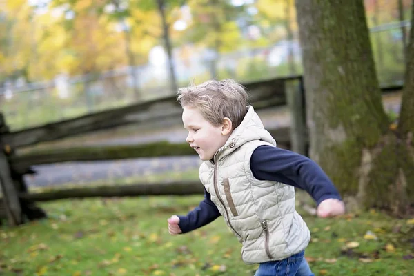 Jongen in herfst seizoen in een park — Stockfoto