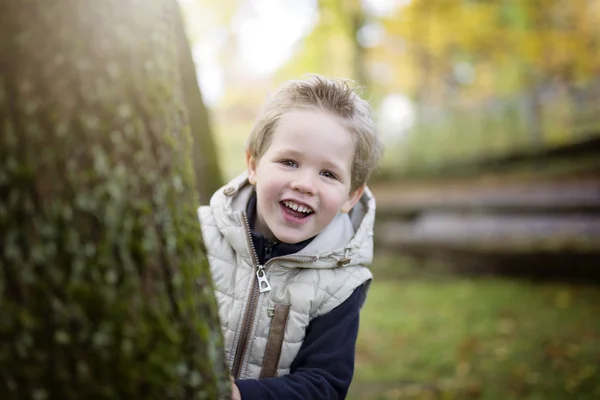 Jongen in herfst seizoen in een park — Stockfoto