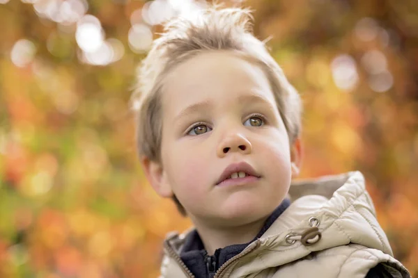 Chlapec v podzimní sezóně v parku — Stock fotografie