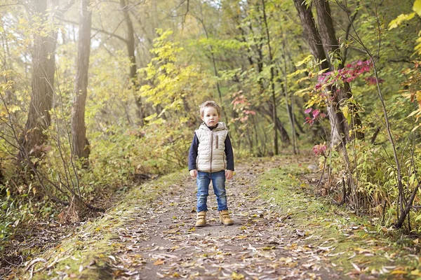 Junge im Herbst in einem Park — Stockfoto