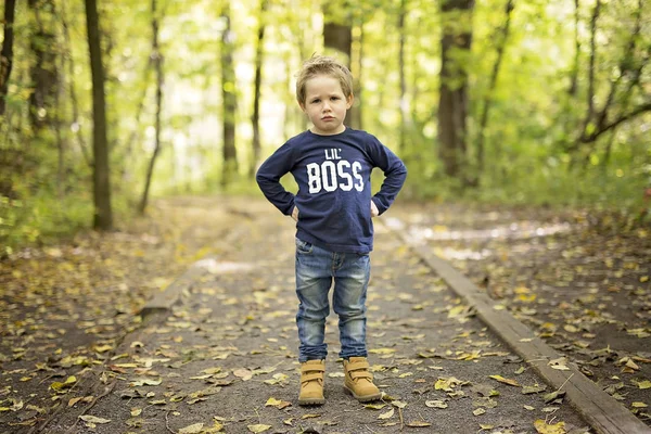 Chłopiec w sezonie jesień w parku — Zdjęcie stockowe