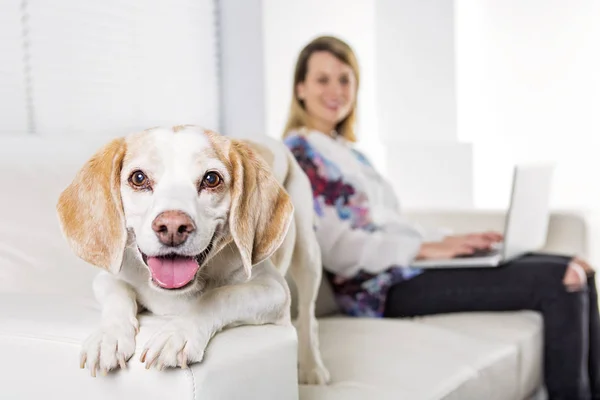 Mulher loira jovem bonita com seu cão em casa — Fotografia de Stock