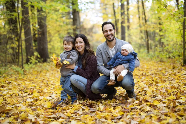 Семья из четырех человек наслаждается золотыми листьями в осеннем парке — стоковое фото