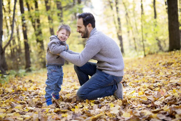 Natura con papà nella foresta autunno — Foto Stock